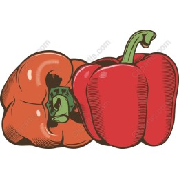 Vibrant Bell Pepper
