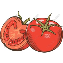 Fresh Tomato