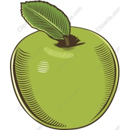 Fresh Green Apple
