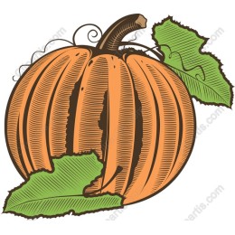 Autumn Pumpkin