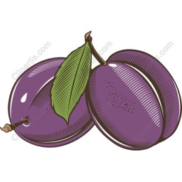 Juicy Plum