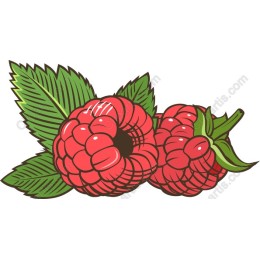 Deliciously Fresh Raspberry