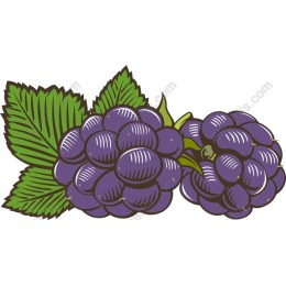 Luscious Blackberry