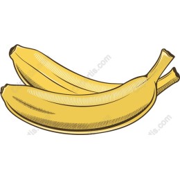 Vibrant Ripe Bananas