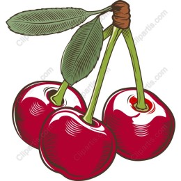 Cherry Trio - Luscious Fruit in and