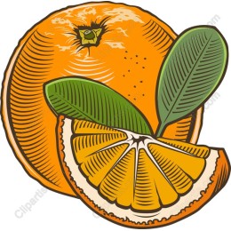 Vibrant Orange