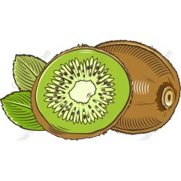 Kiwi Fruit