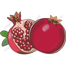 Pomegranate
