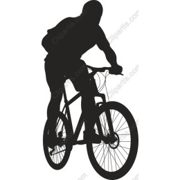 Dynamic Cyclist
