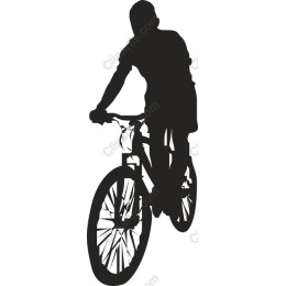 Dynamic Cyclist