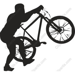 BMX Bike Trick