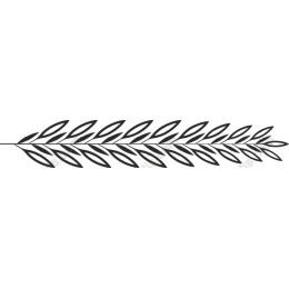 Delicate Leaf Branch