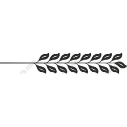 Elegant Leafy Branch