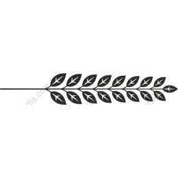 Elegant Leafy Branch