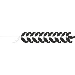 Elegant Black Leaf
