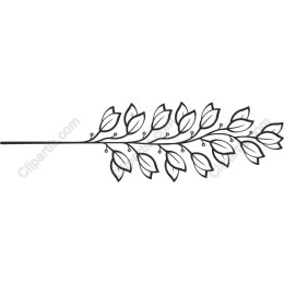 Elegant Leaf Branch