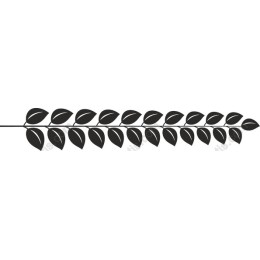 Elegant Leaf Branch