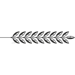 Stylized Leaf