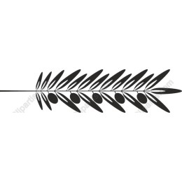 Stylized Olive Branch