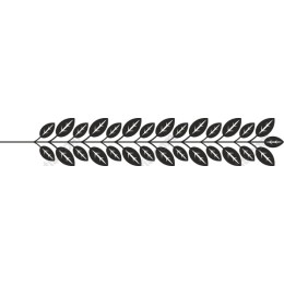 Elegant Black Leaf