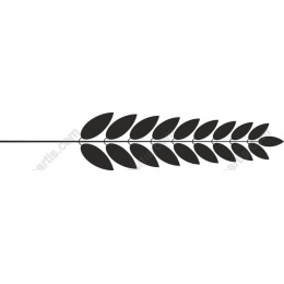 Minimalist Leaf