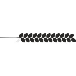 Minimalist Leaf Branch Clipart
