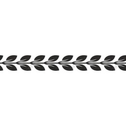Elegant Leaf Border in and