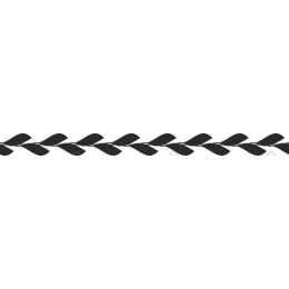 Black Leaf Border