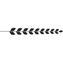 Elegant Leaf Branch