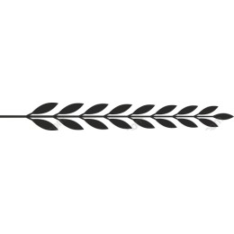 Elegant Leaf Vine