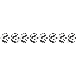 Floral Vine Border