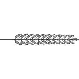 Elegant Leaf Branch
