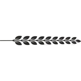 Elegant Leaf Branch