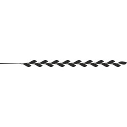 Elegant Leaf