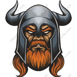 Viking Warrior