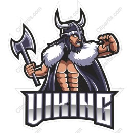 Viking Warrior