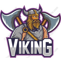 Viking Warrior