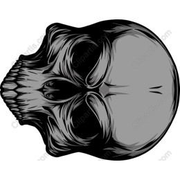 Unique Skull in and