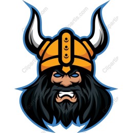 Viking Warrior