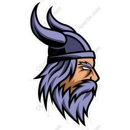 Viking Warrior