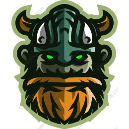 Viking Warrior
