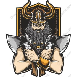 Viking Warrior