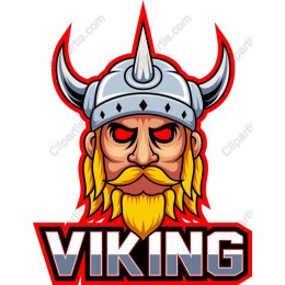 Fierce Viking Warrior