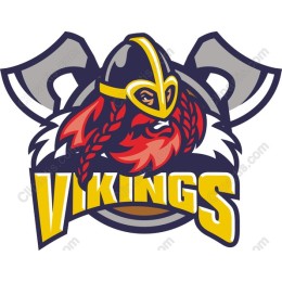 Viking Warrior