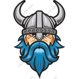 Viking Warrior