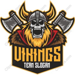 Viking Warrior