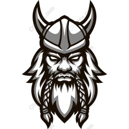 Viking Warrior