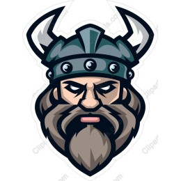 Viking Warrior Head