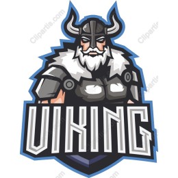 Viking Warrior
