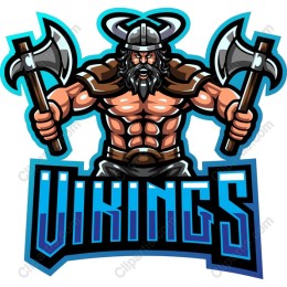 Viking Warrior